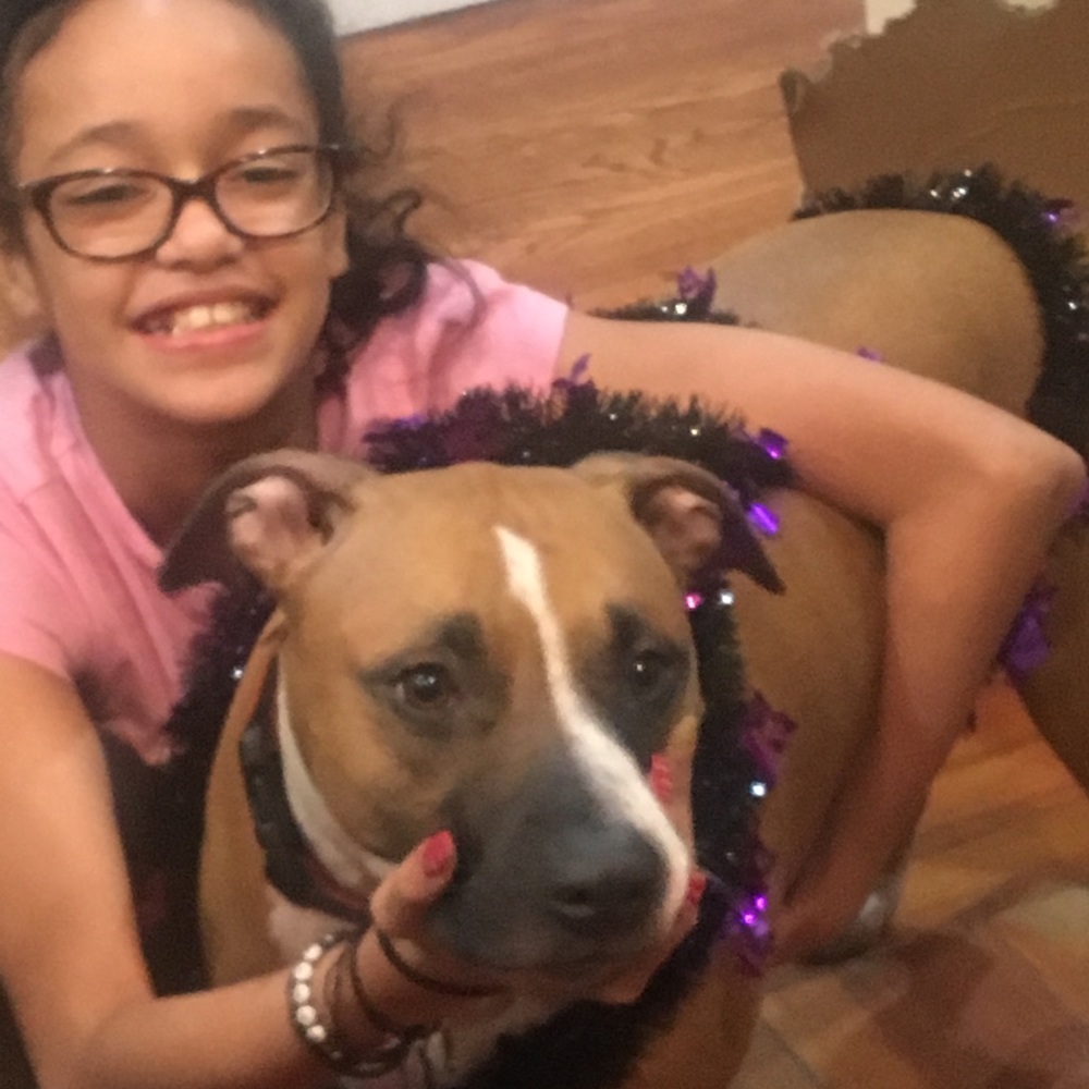 Meet your Posher, Tony